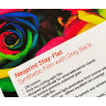 neoprint npsfs stay-flat synthetic film with grey back, npsfs, polypropylene & synthetic films